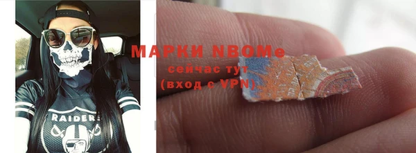 СК Алексин