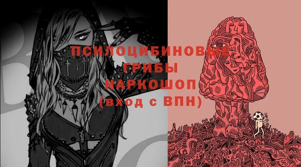 СК Алексин