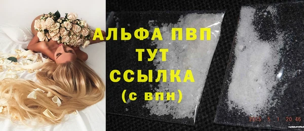 СК Алексин