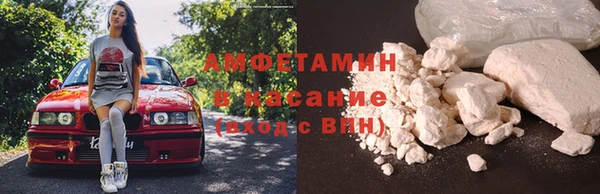 молекула духа Алексеевка