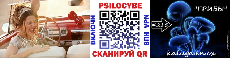Галлюциногенные грибы Cubensis  как найти   Куровское 